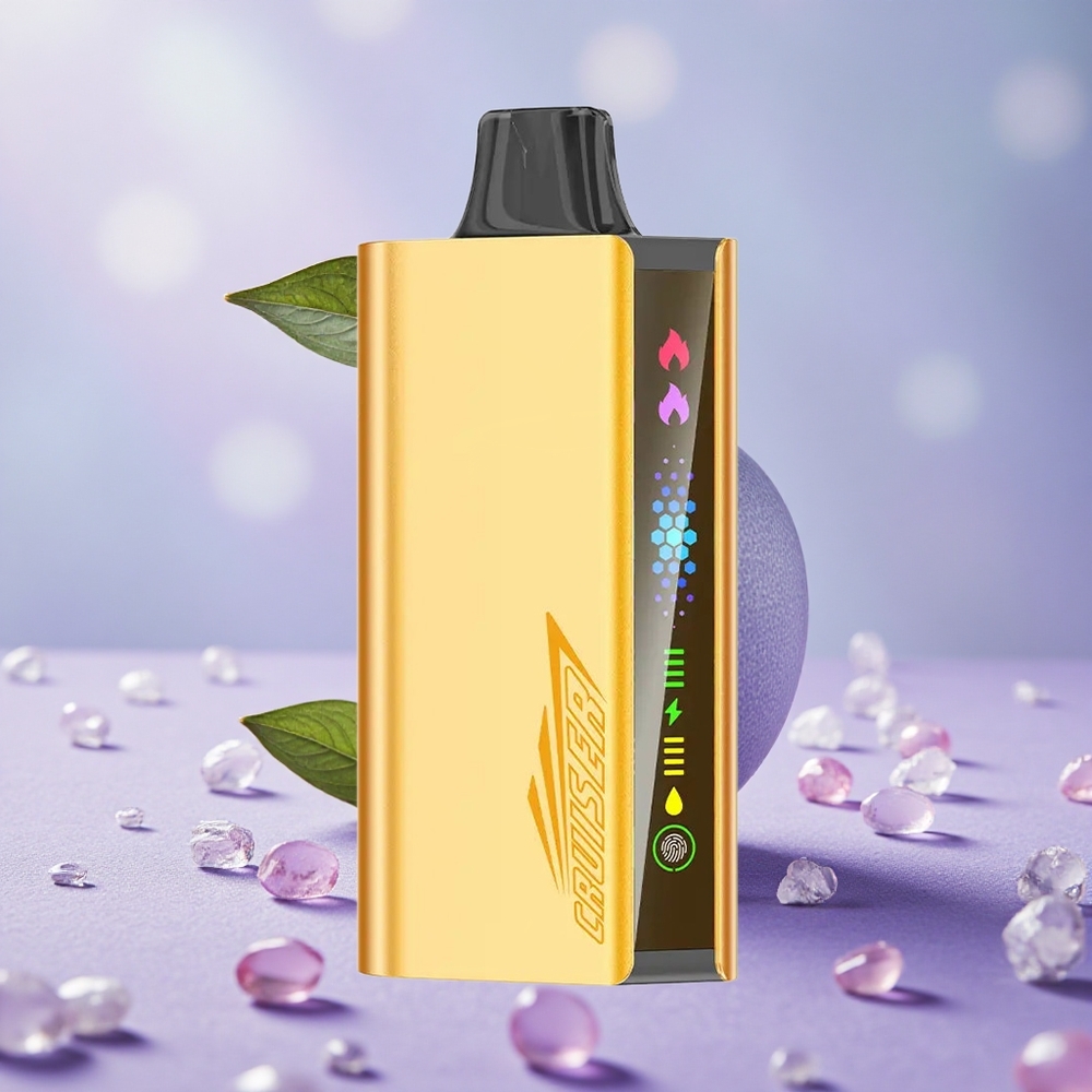 JNR Cruiser 12000 Puffs Bạc Hà Mát Lạnh Pin Tích Hợp 3500 mAh Màn Hình Hiển Thị Hoạt Hình