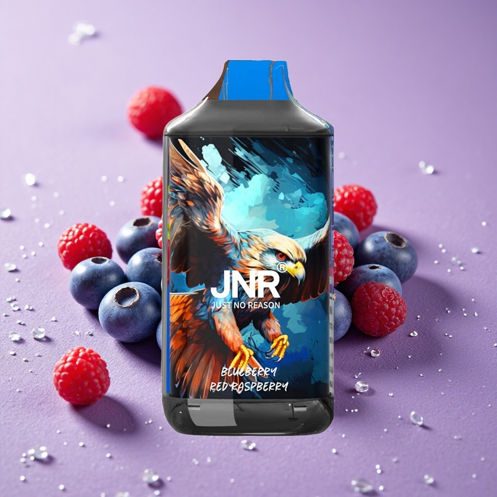 JNR Falcon 16000 Puffs Blueberry Red Raspberry Pin Kép Dung Lượng Pin 850 mAh